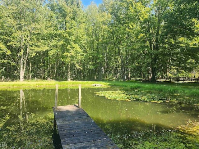 dock area featuring a water view