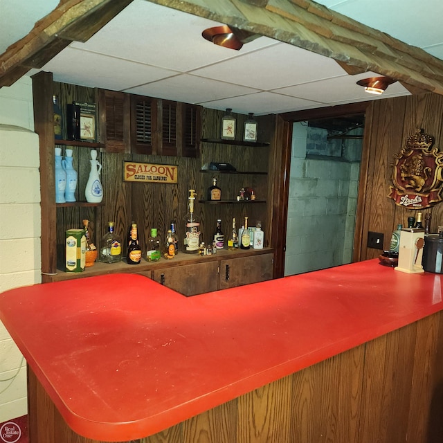 bar featuring a dry bar, concrete block wall, and wood walls