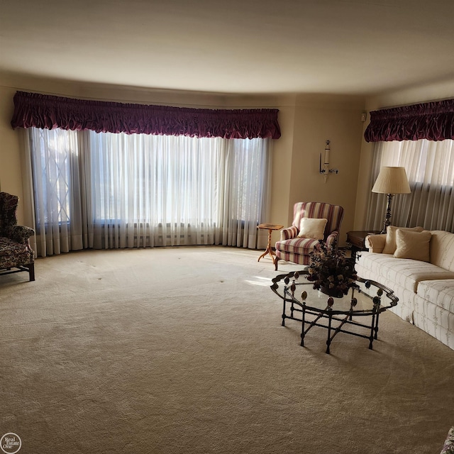 carpeted living area featuring a wealth of natural light