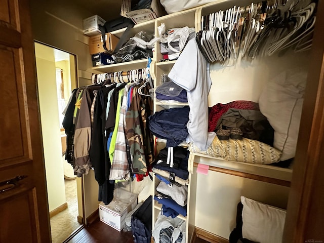 view of spacious closet