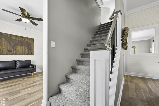 stairs with baseboards, wood-type flooring, a ceiling fan, and crown molding