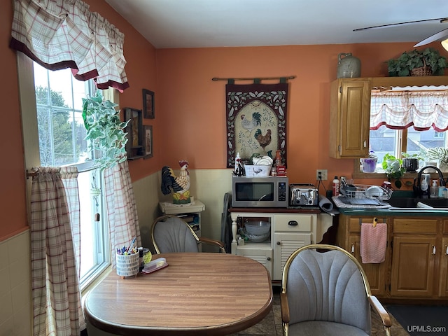 kitchen with a sink, stainless steel microwave, tile walls, and a wainscoted wall