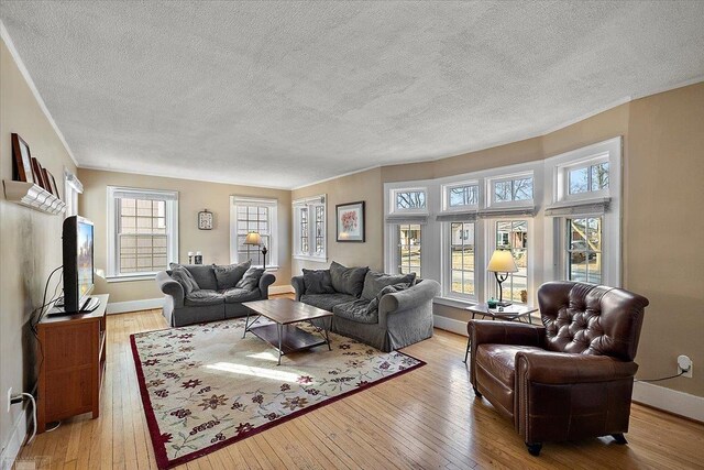 living area with baseboards, a textured ceiling, hardwood / wood-style floors, and ornamental molding