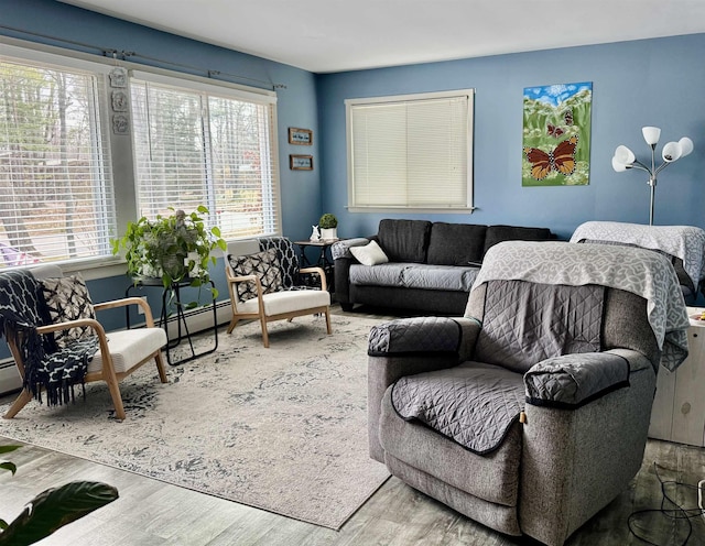 living area with wood finished floors