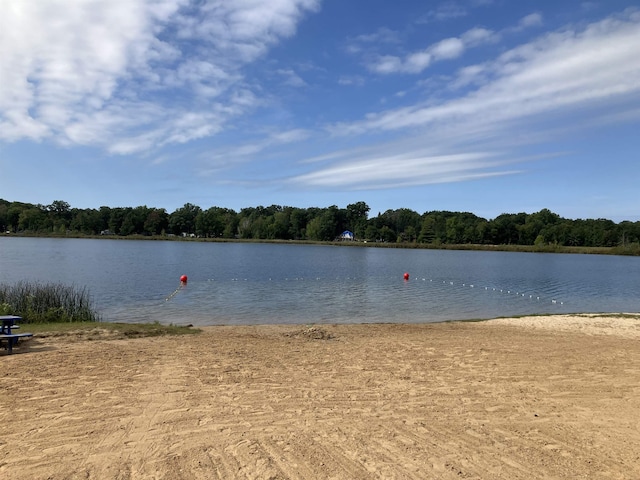 property view of water featuring a view of trees