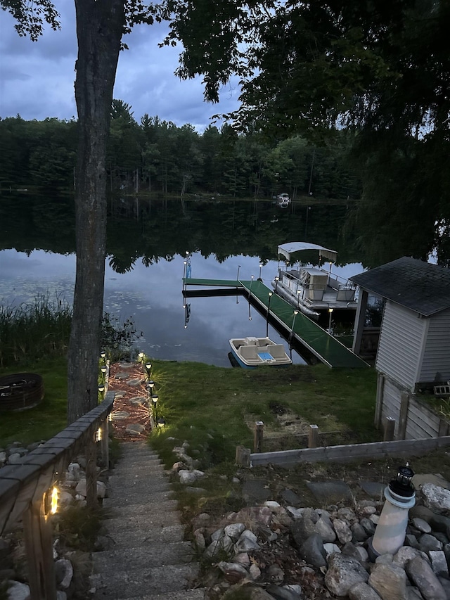 dock area with a water view