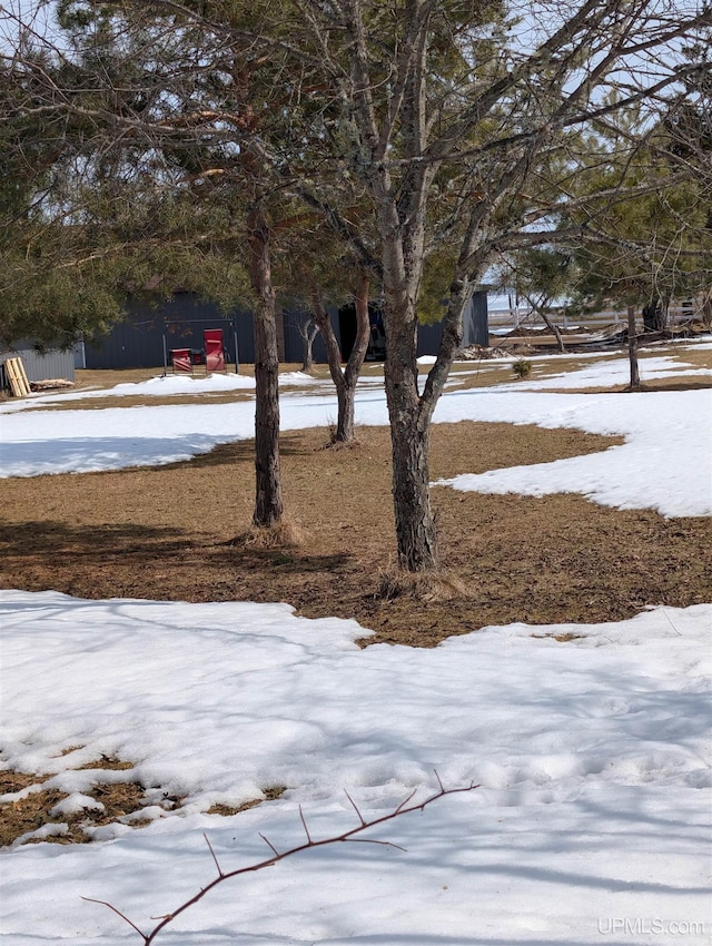 view of snowy yard