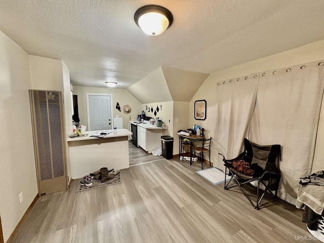 interior space with baseboards, lofted ceiling, light wood-style floors, and a textured ceiling