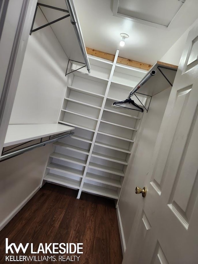 walk in closet featuring dark wood-style flooring