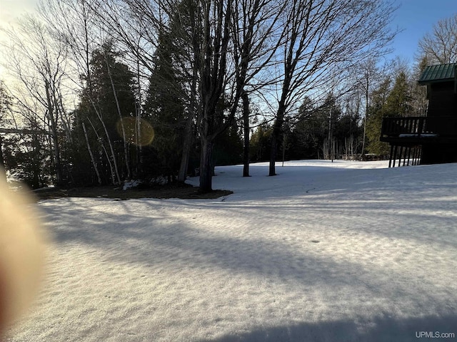 view of yard covered in snow