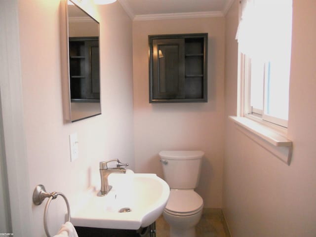 bathroom featuring vanity, toilet, and ornamental molding