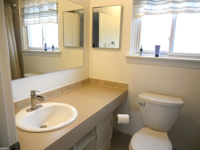 bathroom with toilet and vanity