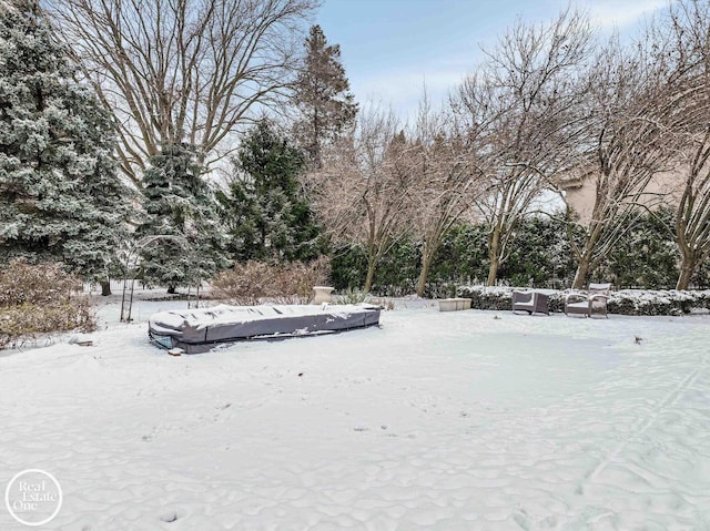 view of snowy yard