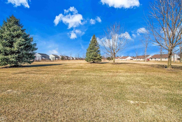 view of yard featuring a residential view