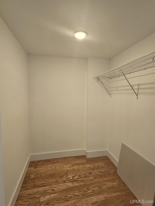 spacious closet featuring wood finished floors