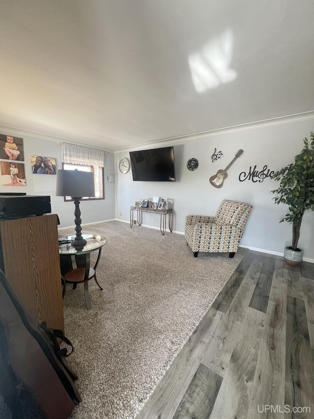 carpeted living room featuring baseboards and wood finished floors