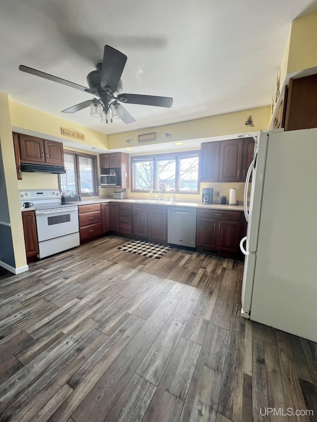 kitchen featuring dark wood-type flooring, a ceiling fan, a sink, ventilation hood, and white appliances