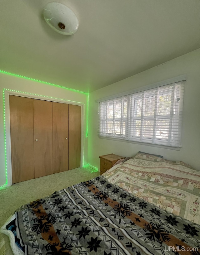 bedroom featuring a closet and multiple windows