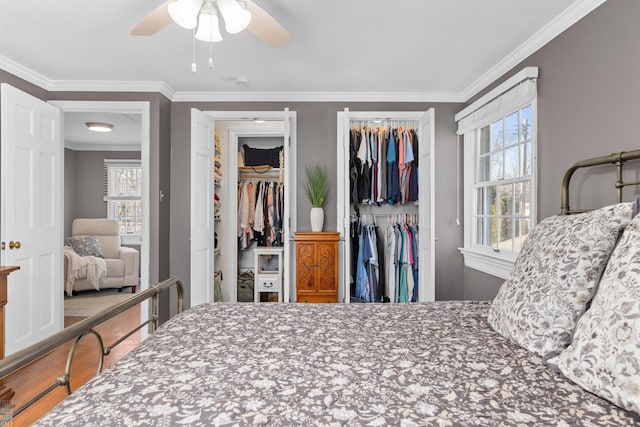 bedroom featuring wood finished floors, two closets, ceiling fan, and ornamental molding