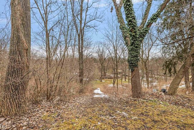 view of local wilderness