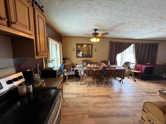 dining area featuring a ceiling fan, light wood-style floors, and a textured ceiling