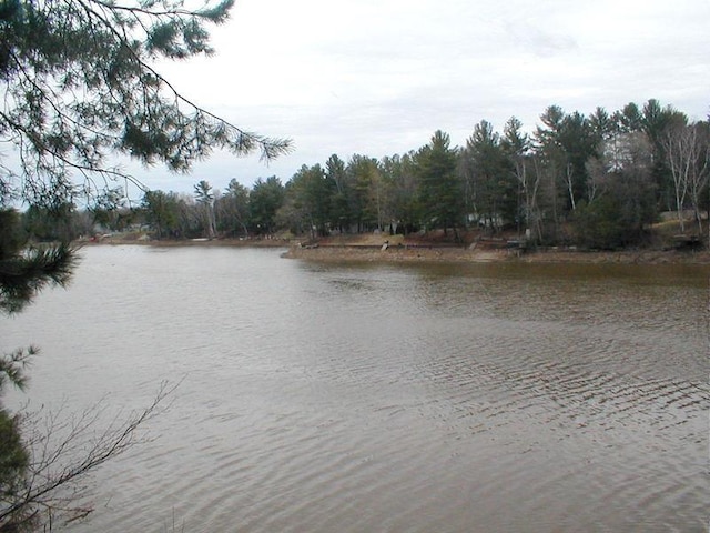 view of water feature featuring a forest view