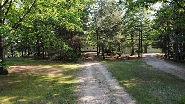 view of street with dirt driveway