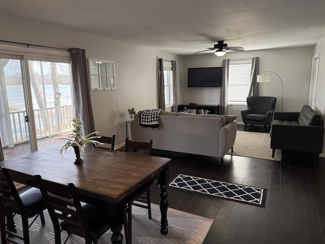 dining area with plenty of natural light, hardwood / wood-style floors, and a ceiling fan