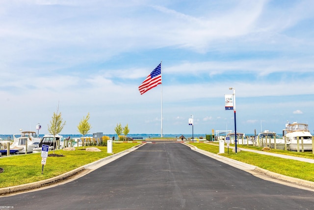 49 Sea Ray Blvd, Harrison Twp, MI 48045 - view of asphalt road with curbs and street lights