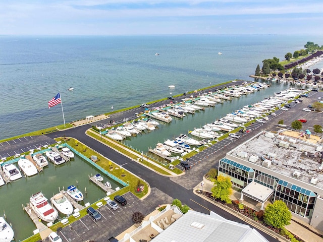 49 Sea Ray Blvd, Harrison Twp, MI 48045 - bird's eye view of a marina and a large body of water