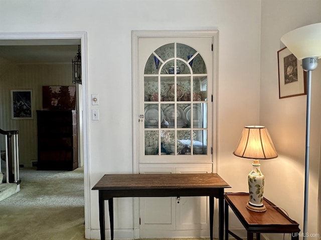 interior details featuring carpet