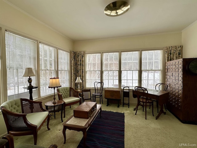 interior space with carpet floors and crown molding