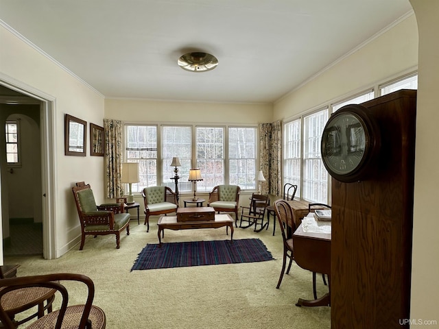 living area with baseboards, carpet floors, and ornamental molding