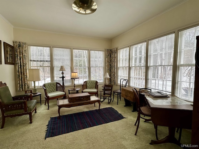 sunroom / solarium featuring plenty of natural light, crown molding, and carpet