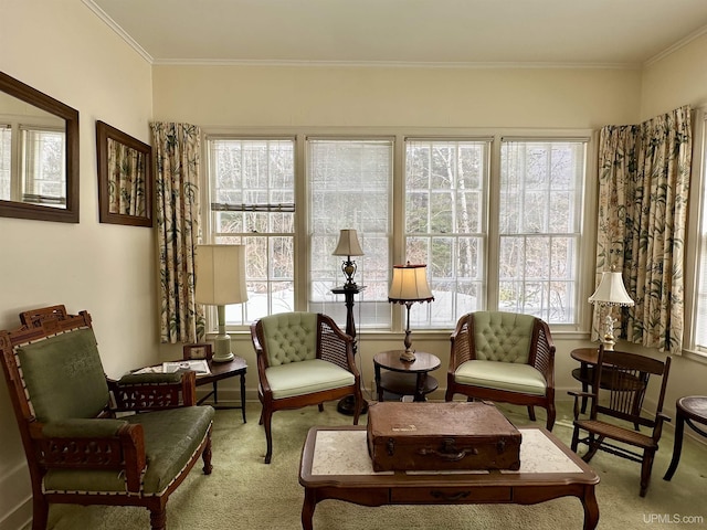 living area featuring carpet floors, ornamental molding, and a wealth of natural light