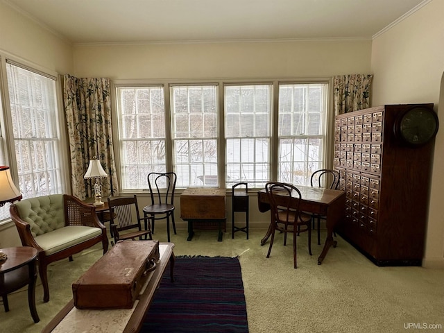 sitting room with crown molding and carpet floors