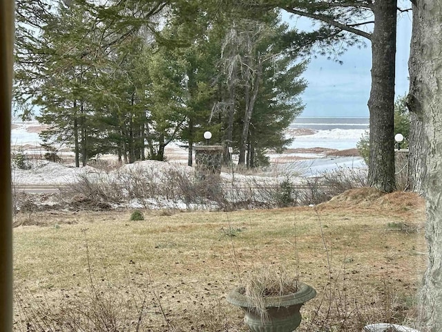 view of yard featuring a water view