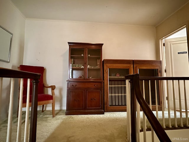 interior space with baseboards, crown molding, and carpet