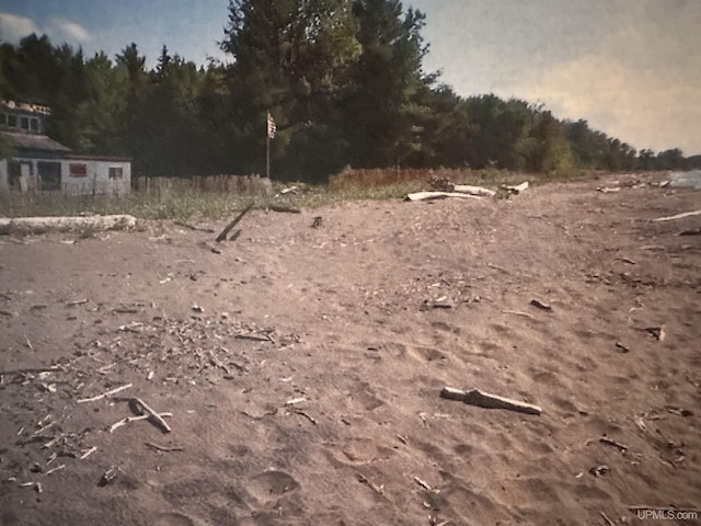 view of local wilderness