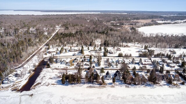102 Phoxy Ln, Indian River, MI 49749 - snowy aerial view with a residential view