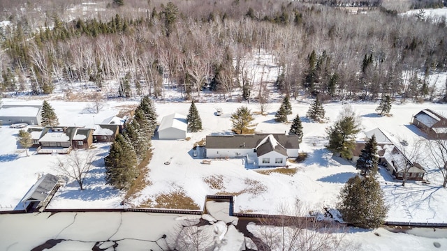 102 Phoxy Ln, Indian River, MI 49749 - view of snowy aerial view