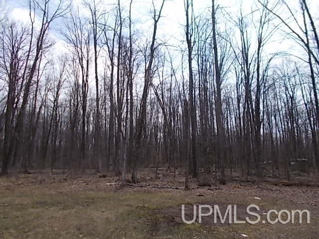 view of local wilderness