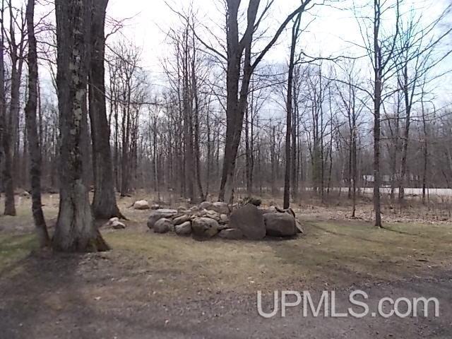 view of local wilderness with a wooded view