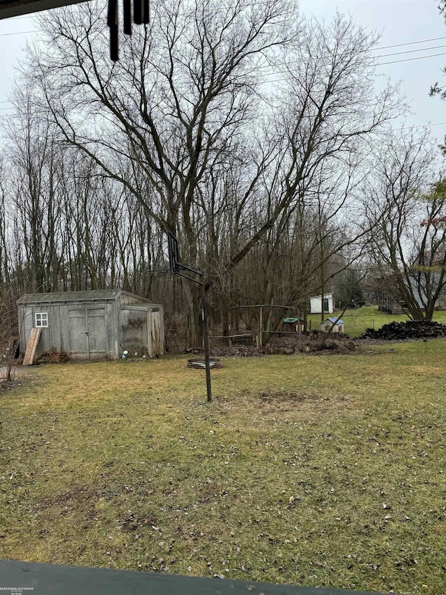 view of yard with an outdoor structure and a shed