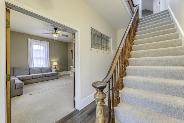 staircase featuring baseboards, carpet flooring, wood finished floors, and a ceiling fan