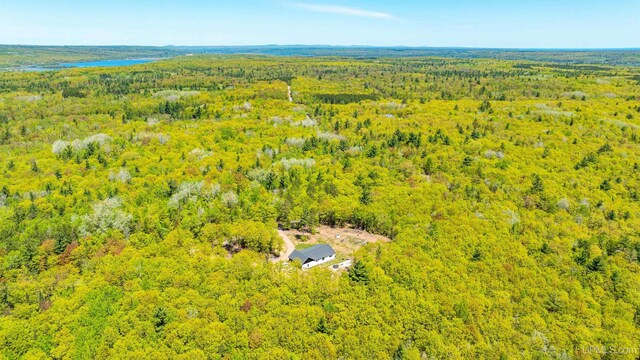 25195 Sved Rd, Hancock, MI 49930 - drone / aerial view of a forest