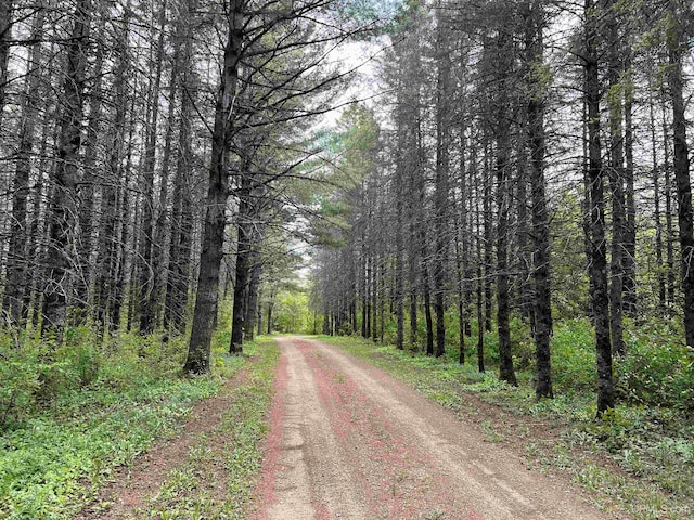 E3117 H44 Hwy, Trenary, MI 49891 - view of dirt / gravel road with a view of trees
