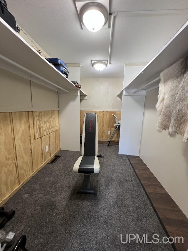 E3117 H44 Hwy, Trenary, MI 49891 - view of walk in closet