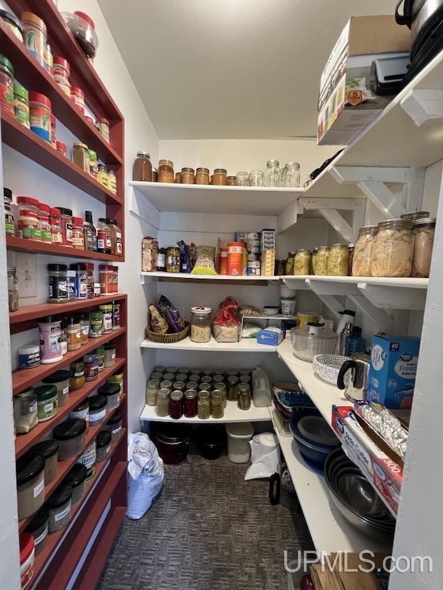 E3117 H44 Hwy, Trenary, MI 49891 - view of pantry