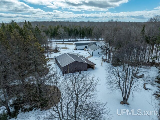 E3117 H44 Hwy, Trenary, MI 49891 - snowy aerial view with a view of trees